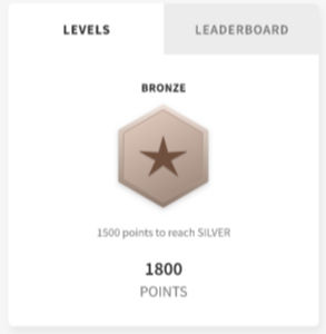 Levels and leaderboard