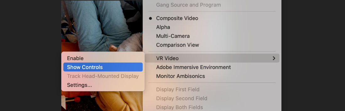 A screenshot that shows the Show Controls option under VR Video to hide VR video view controls.