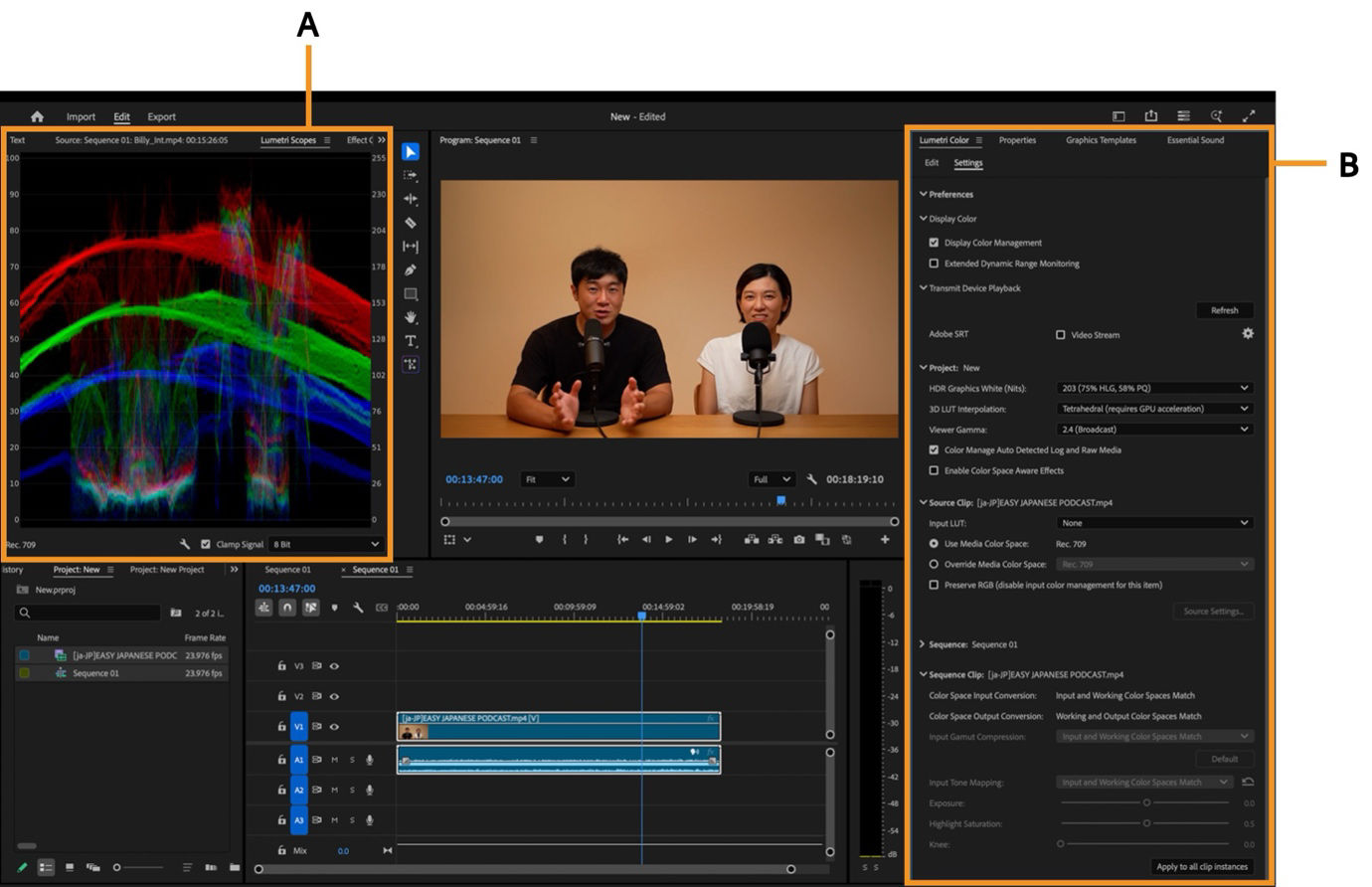 The color workspace with Lumetri Color and Lumetri Scopoe highlighted and color grading controls and scopes displayed.