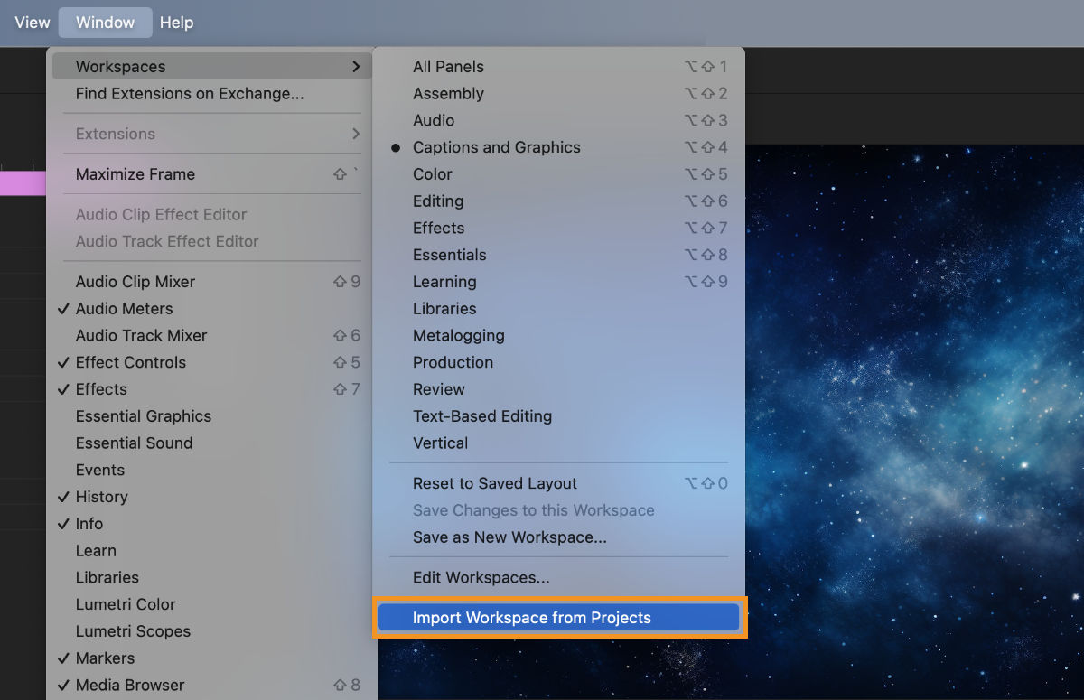 Import Workspace from Projects option selected to import the workspace of a saved project into the current project.