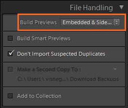 Die Option „Eingebettete und Filialdateien“ im Importfenster