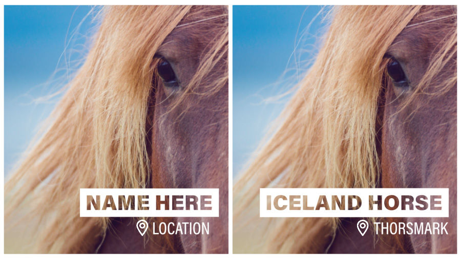 Side-by-side images of an Icelandic horse, one with placeholder copy in a lower-third motion-graphics template, and the other with the title “Icelandic Horse, Thorsmork” in the same template