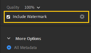 The Include Watermark option in Export settings