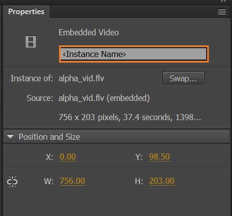 Video clip instance name