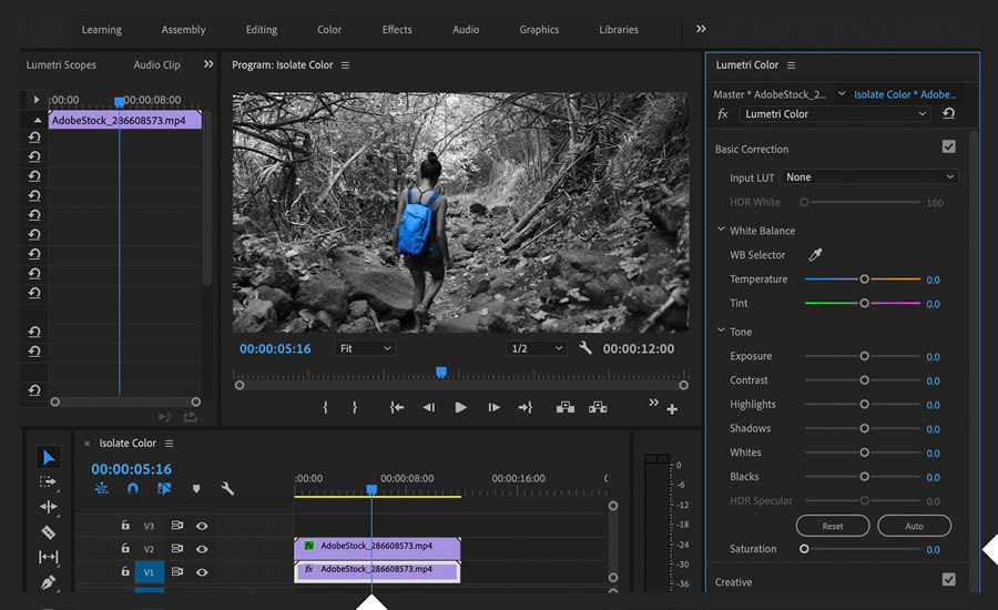 Basic Correction section of the Lumetri Color panel is selected, Saturation decreased to zero. 