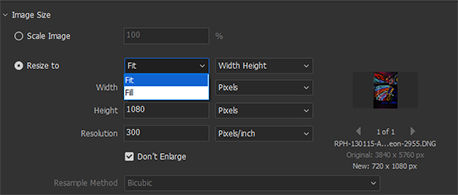 Select Resize to Fit option in Adobe Bridge.