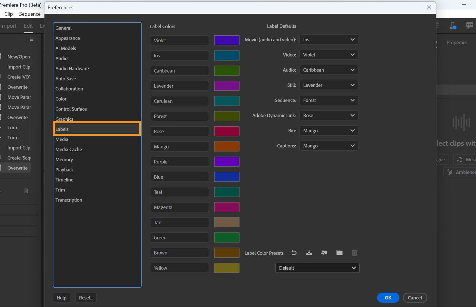 The Preferences dialog is open, Labels option is highlighted and the Labels panel is displayed with options to customize your label colors.