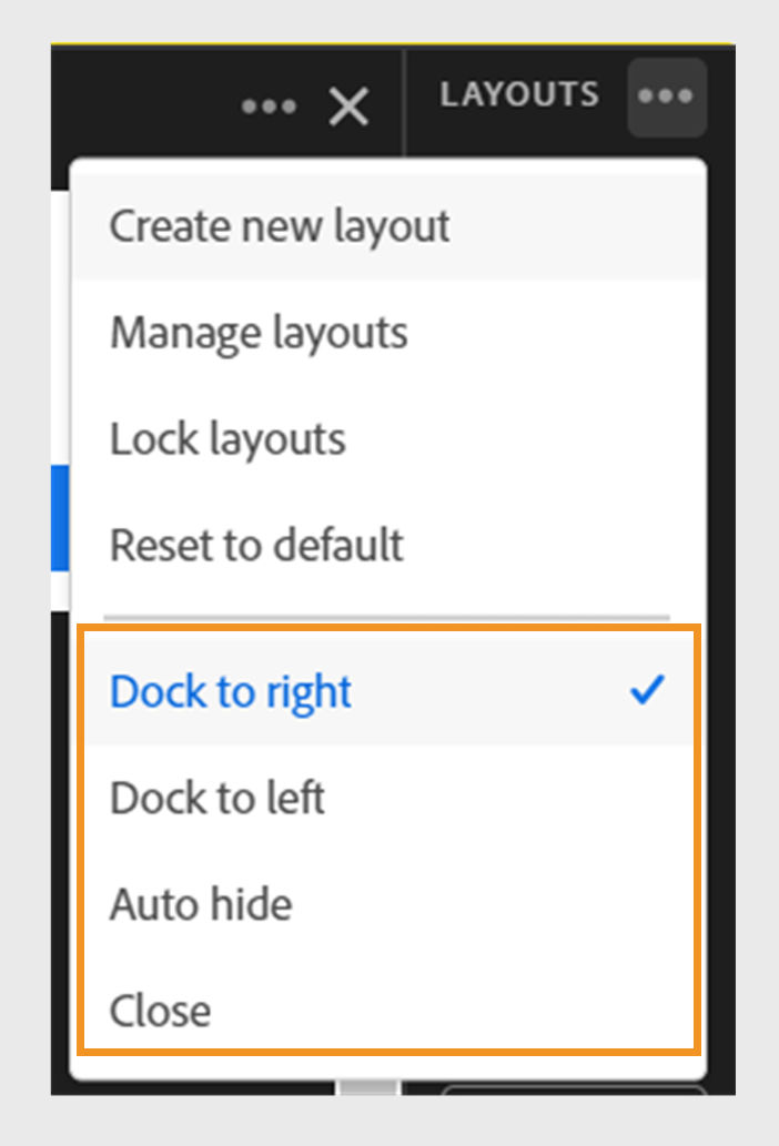 Layout panel options