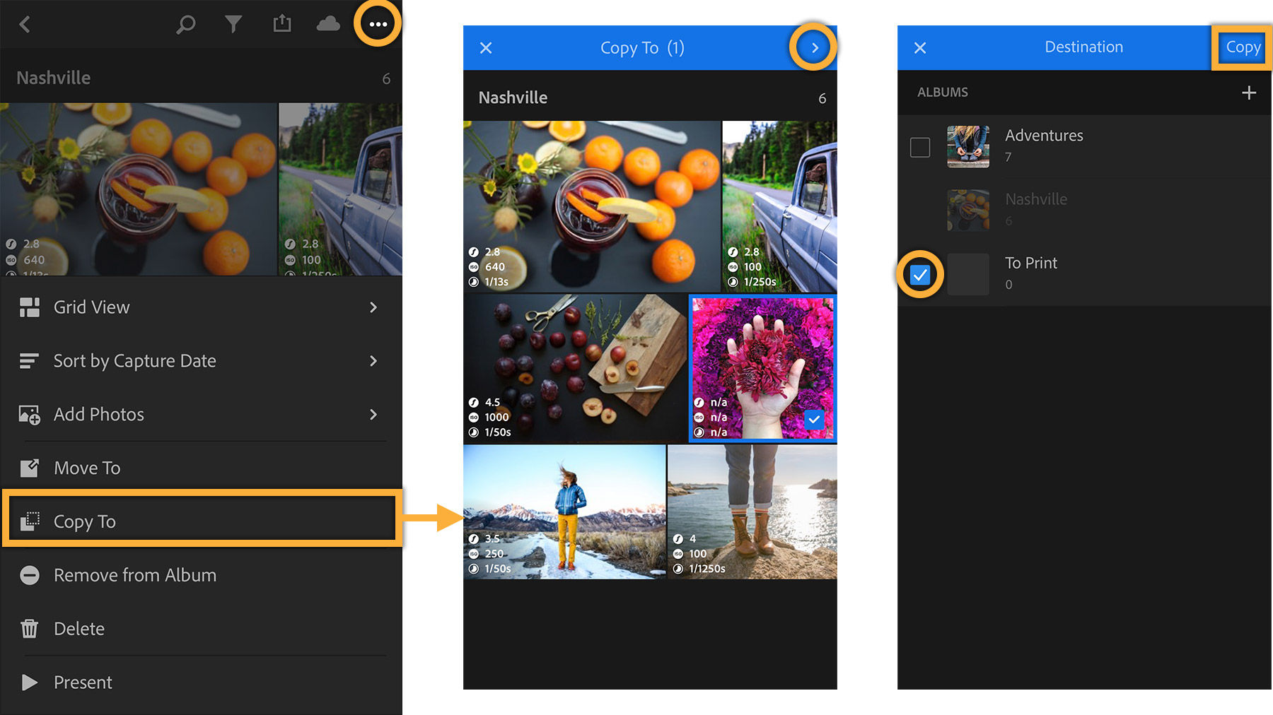 With an album open, tap the three dots then Copy To. Select photos to copy, then the destination to copy to another album.