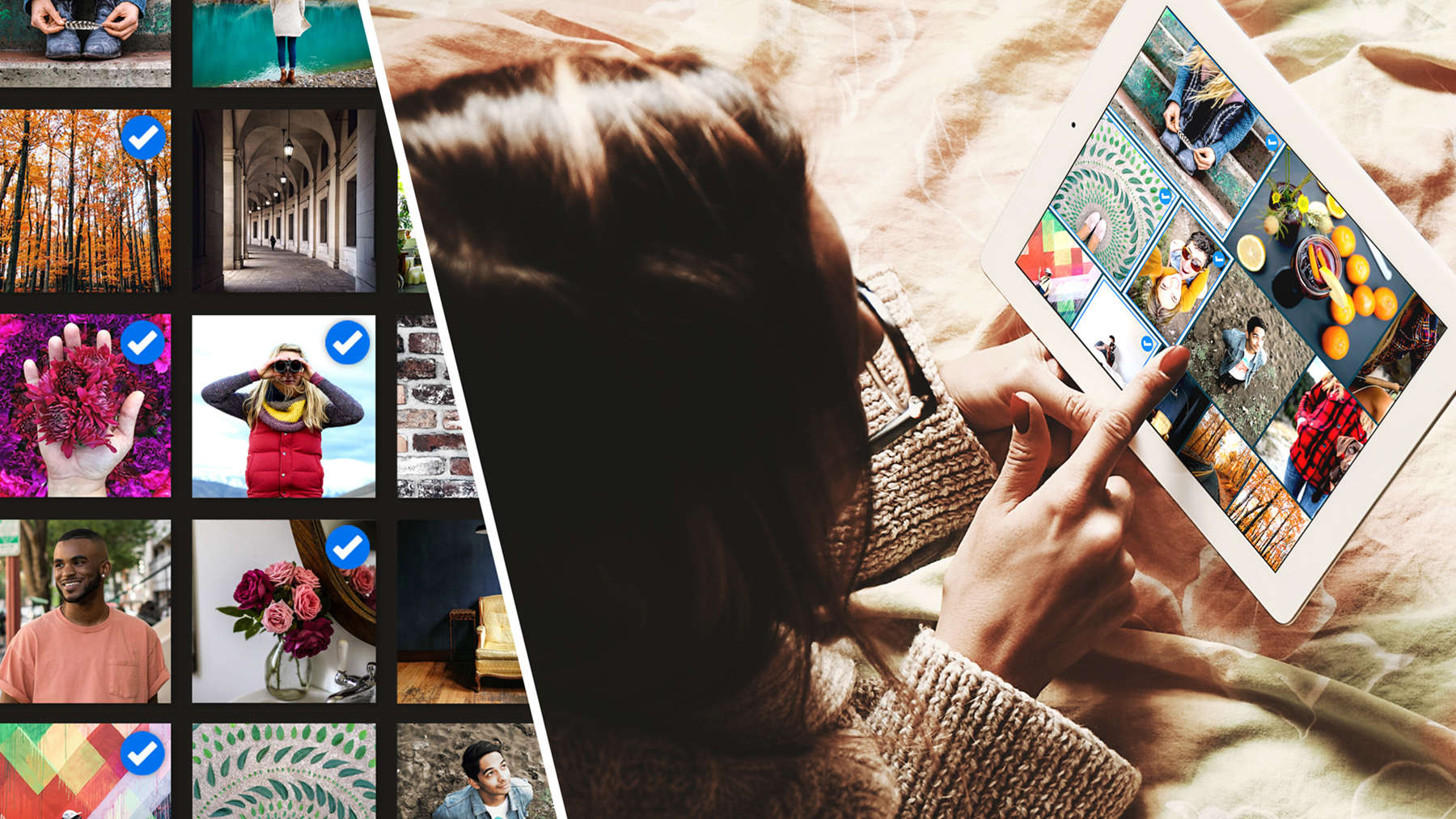 Lightroom for mobile displays the same images as Lightroom on a desktop.