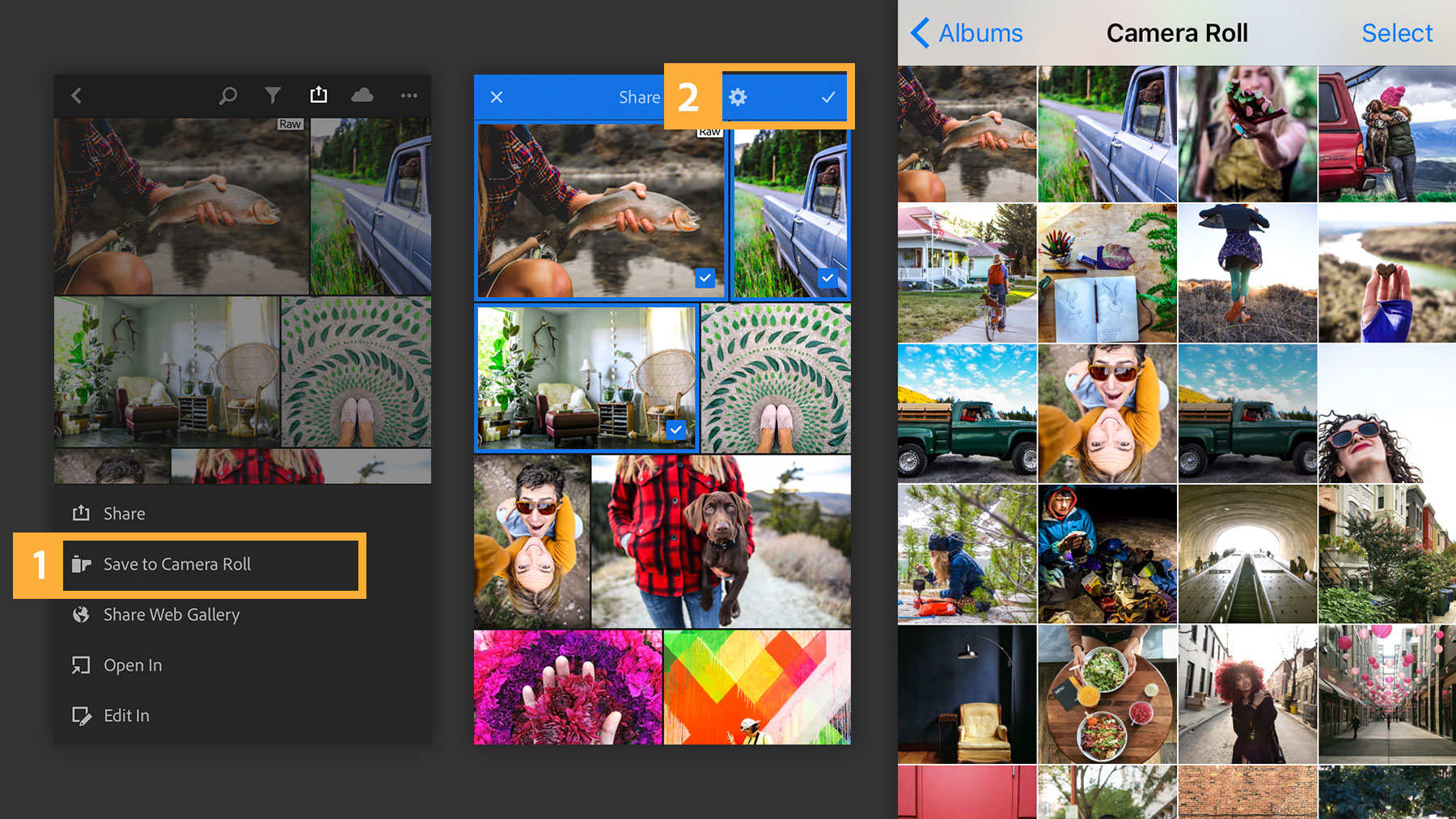 To save photos to a device, tap the share icon, choose Save to Camera Roll, then select images.