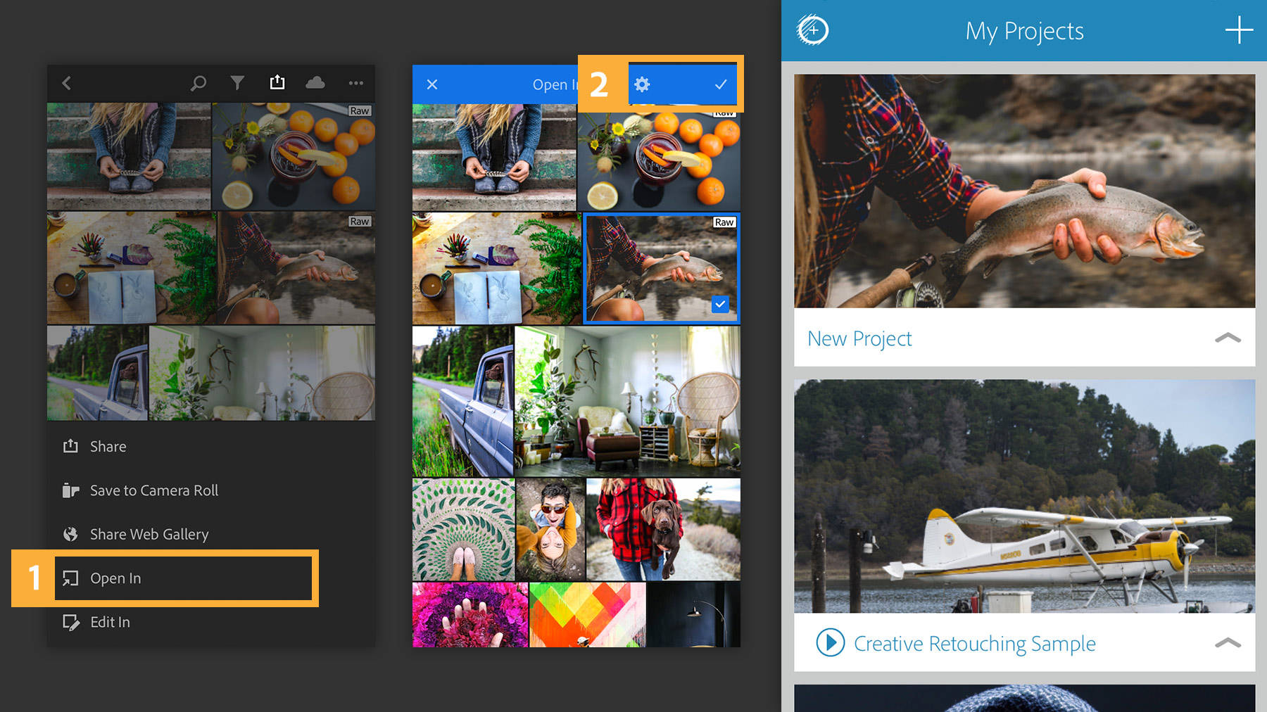 To open in another app, tap the share icon, select Open In or Edit In, select the image, then choose the app.