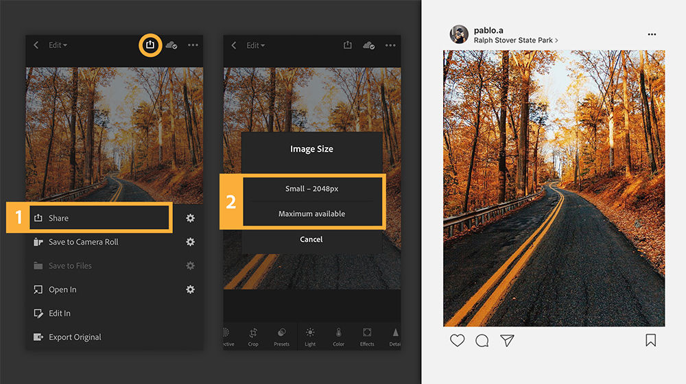Tap the share icon, select size, then choose if you’d like to share the photo by text, email, or social media.