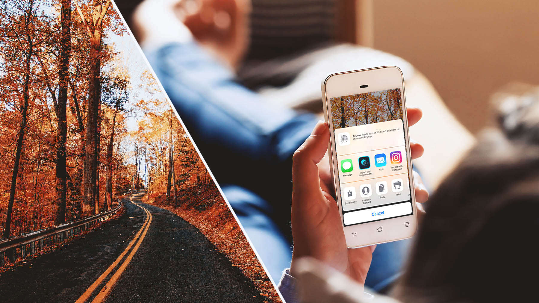 Photo of two-lane road through trees during autumn is open in Lightroom and shared online.