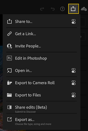 The Share menu in Lightroom app on the iPad.