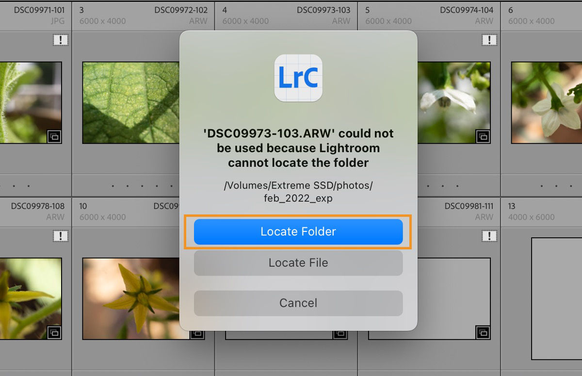 Lightroom-foutbericht dat aangeeft dat het bestand &quot;DSC09973-103.ARW&quot; niet kan worden gebruikt omdat Lightroom de map '/Volumes/Extreme SSD/photos/feb_2022_exp' met de opties &quot;Map zoeken&quot;, &quot;Bestand zoeken&quot; of &quot;Annuleren&quot; niet kan vinden.Met de blauwe knop &quot;Map zoeken&quot; kunnen gebruikers handmatig de ontbrekende map selecteren om de toegang tot bestanden te herstellen.