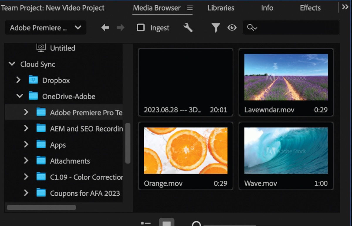 A screenshot that shows the files in the linked One Drive synced in Premiere Pro Media Browser.