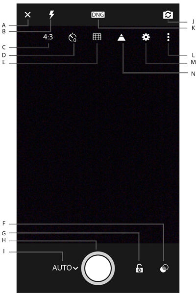 Capture interface options in the Auto mode.