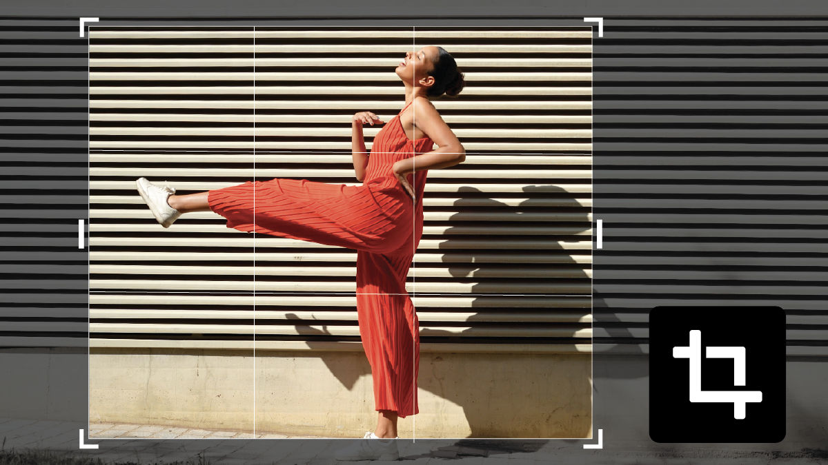 A graphic of a jellyfish