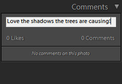 Lightroom Classic CC Type feedback or add a comment in the Comments section