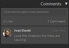 Lightroom Classic CC A photo with feedback from a user