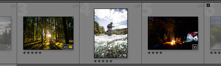 Lightroom Classic CC Photos of a collection in loupe view