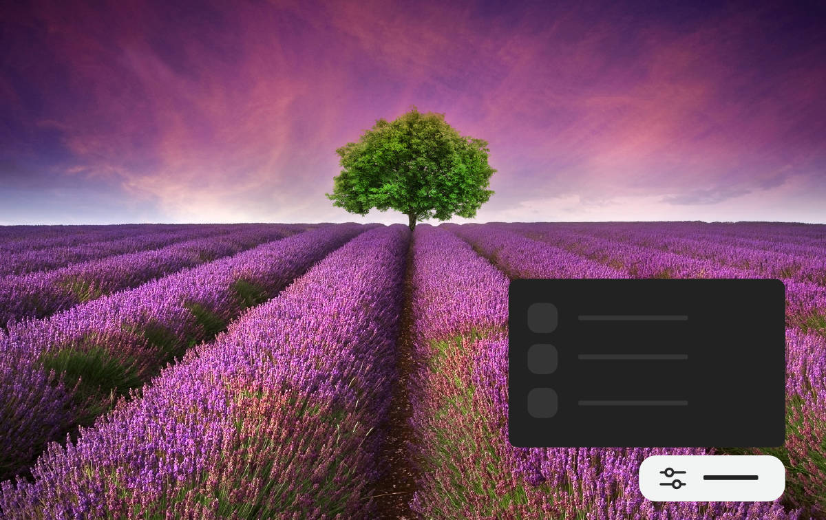 Een afbeelding van een kwal