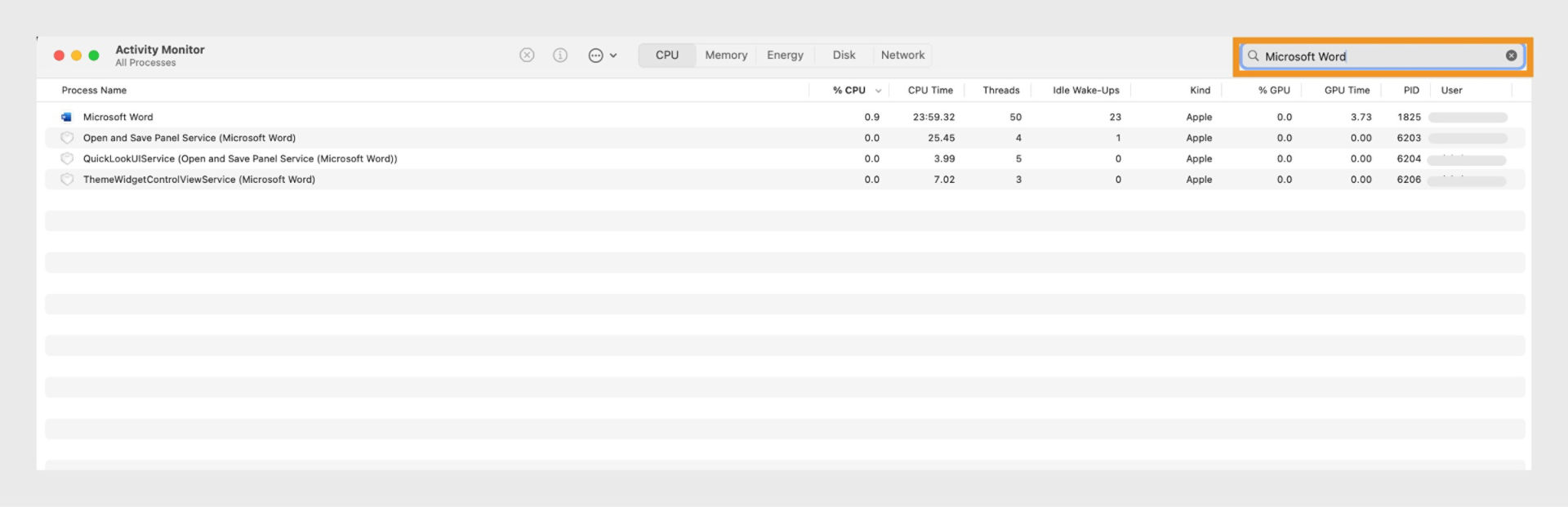 macOS Activity Monitor displaying all related processes.
