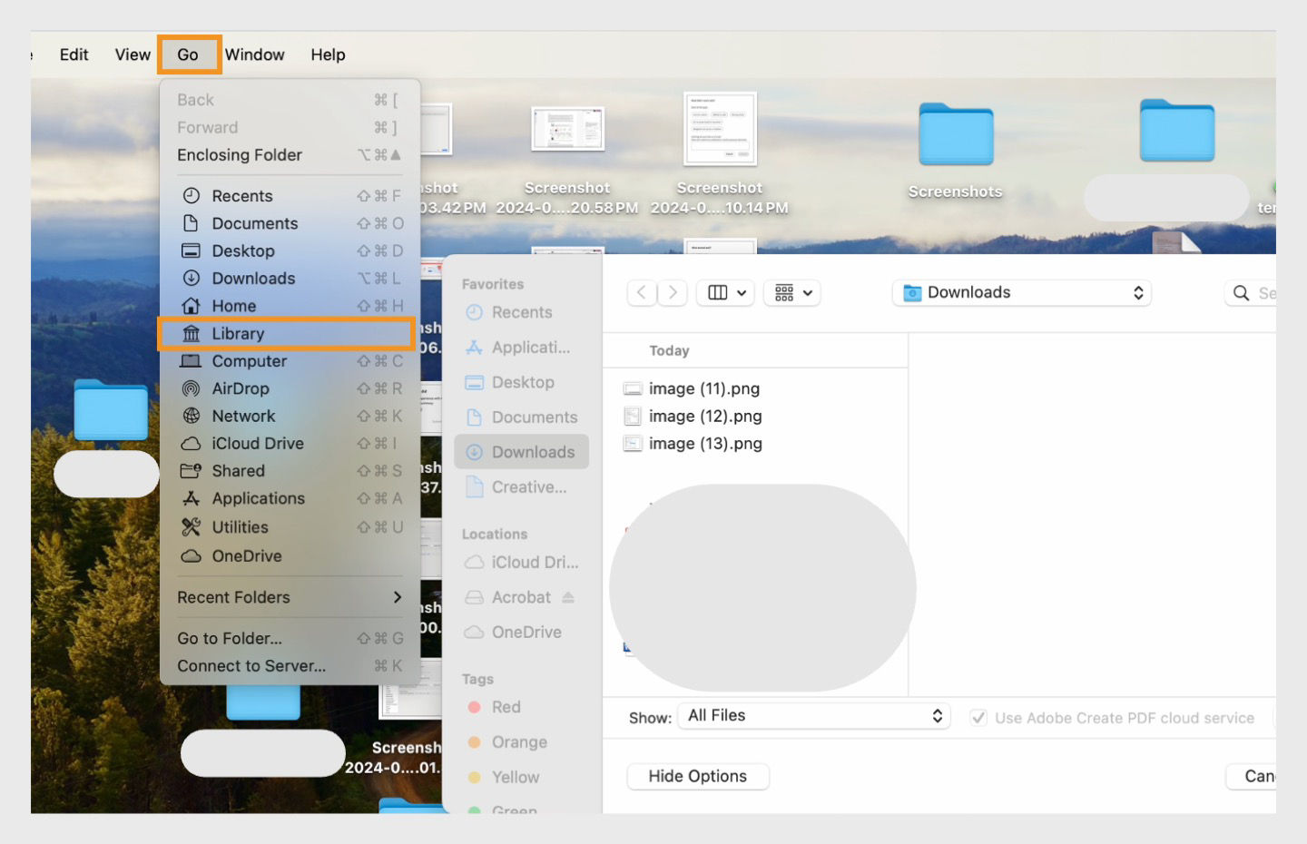 Go option in the top menu bar is highlighted. Library is selected and the finder window is open in macOS. 