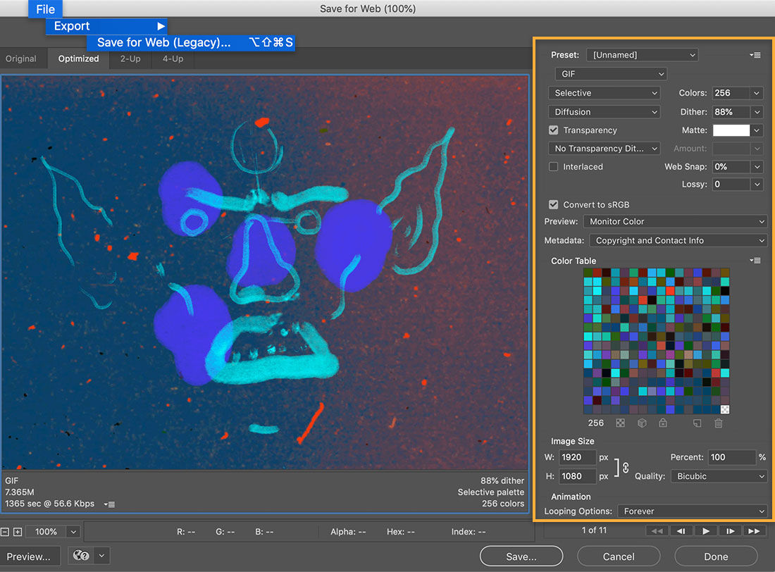 File > Export > Save for Web (Legacy) shows from top menu, export options show GIF preset and Looping Options set to Forever