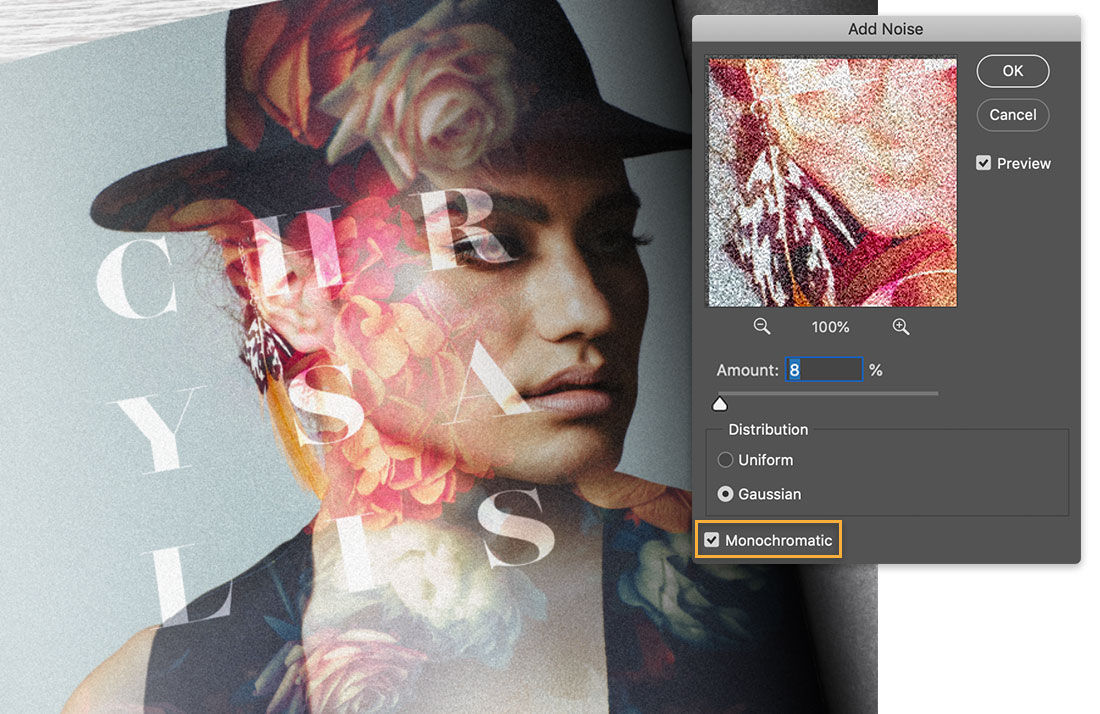 Model image has grain effect applied, the Add Noise dialog shows the noise Amount set to 8%, Monochromatic box is checked