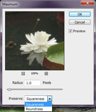 Photoshop Preserve squareness or roundness
