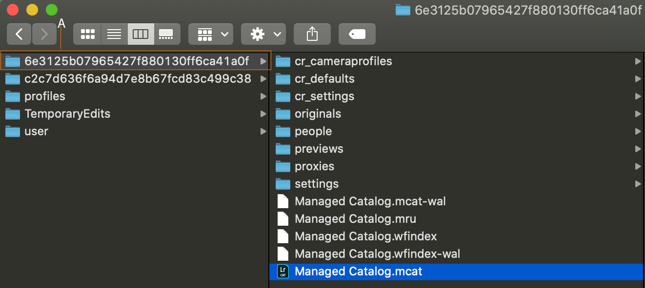 MCAT file location on macOS
