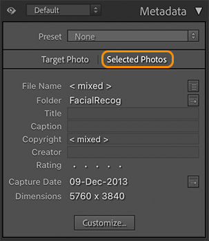 metadata-selected-photo