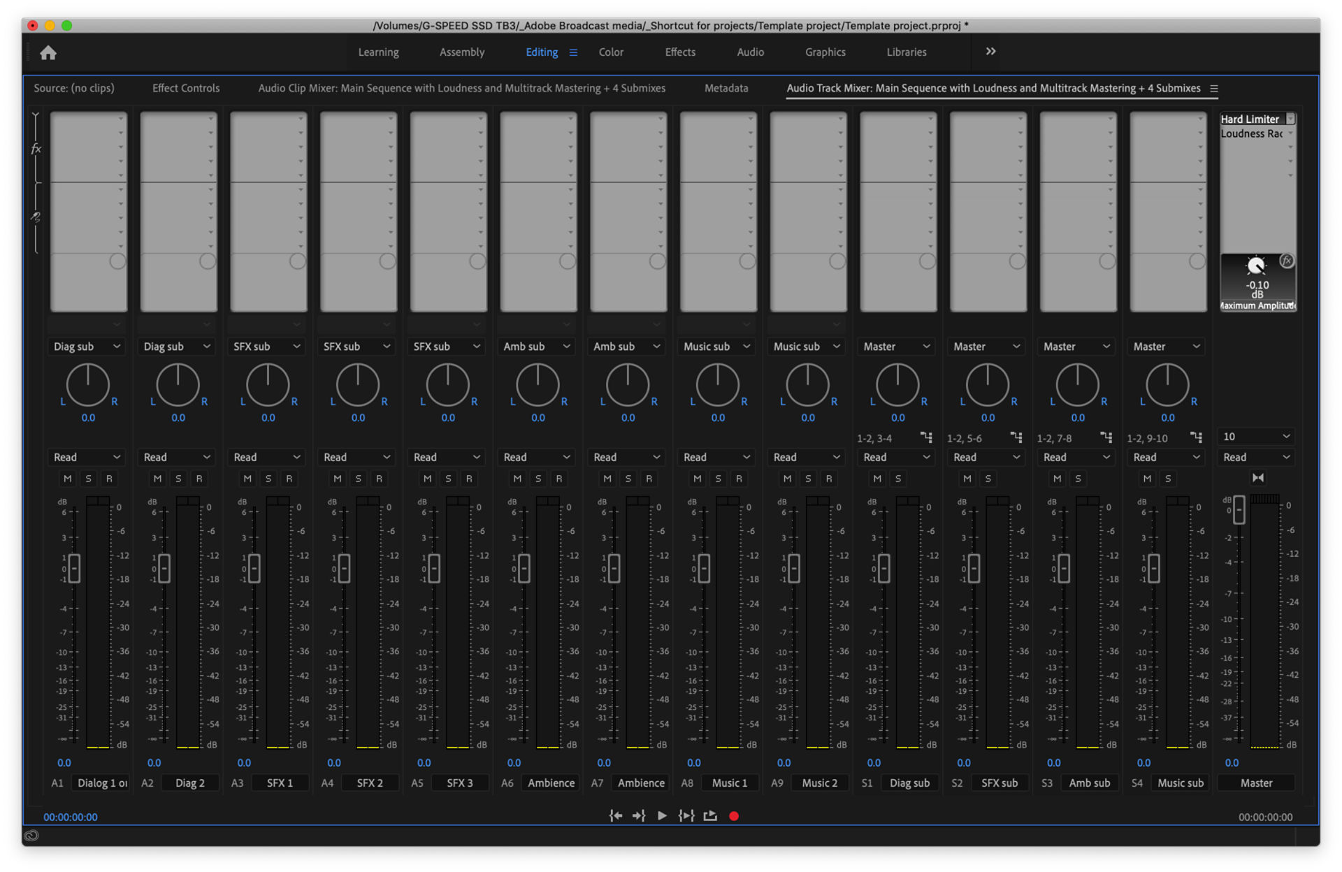 Multichannel Master with submixes
