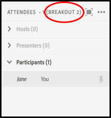 Breakout room with attendees assigned as Presenters.