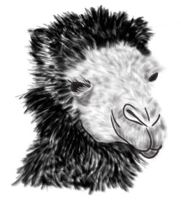 다양한 강모 브러쉬 모양