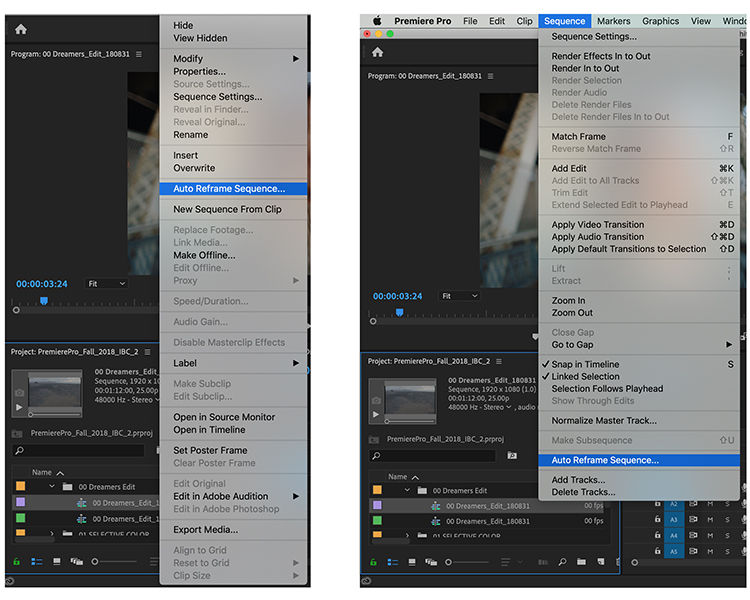 Options to automatically reframe a sequence