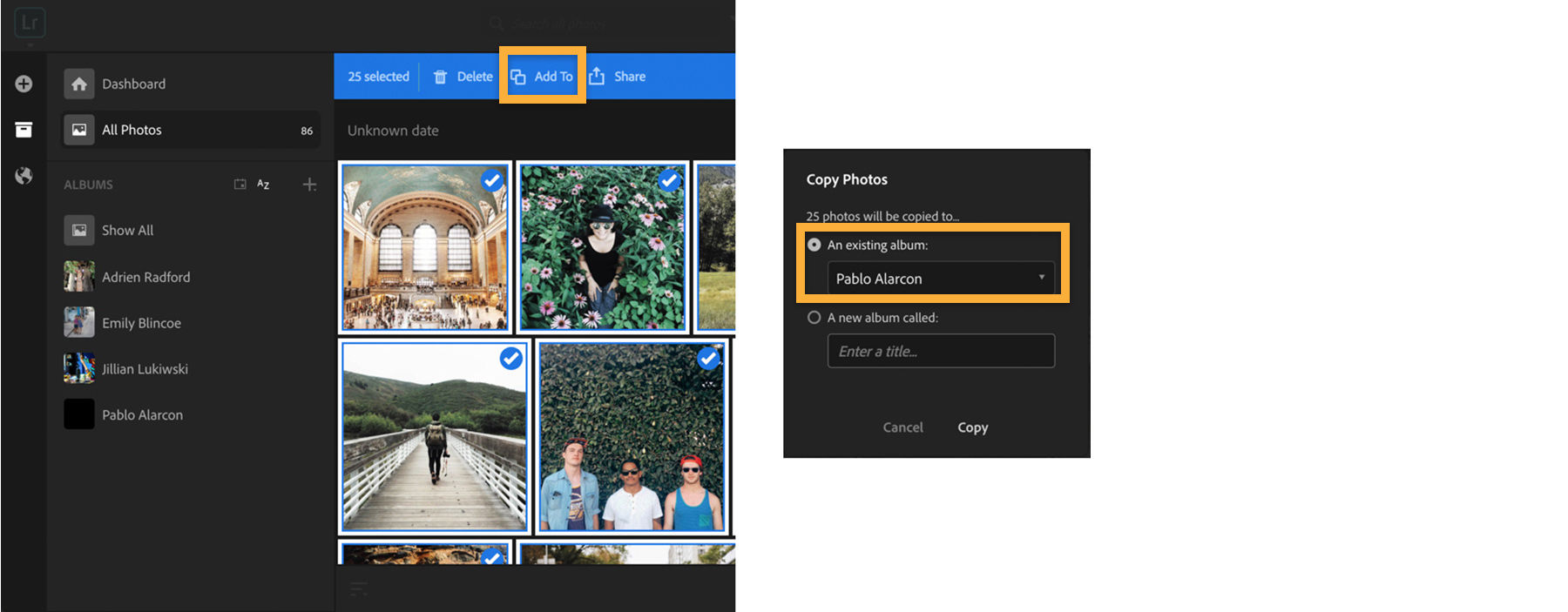 Select photos to add to album, click Add To, add to existing album or create a new album.