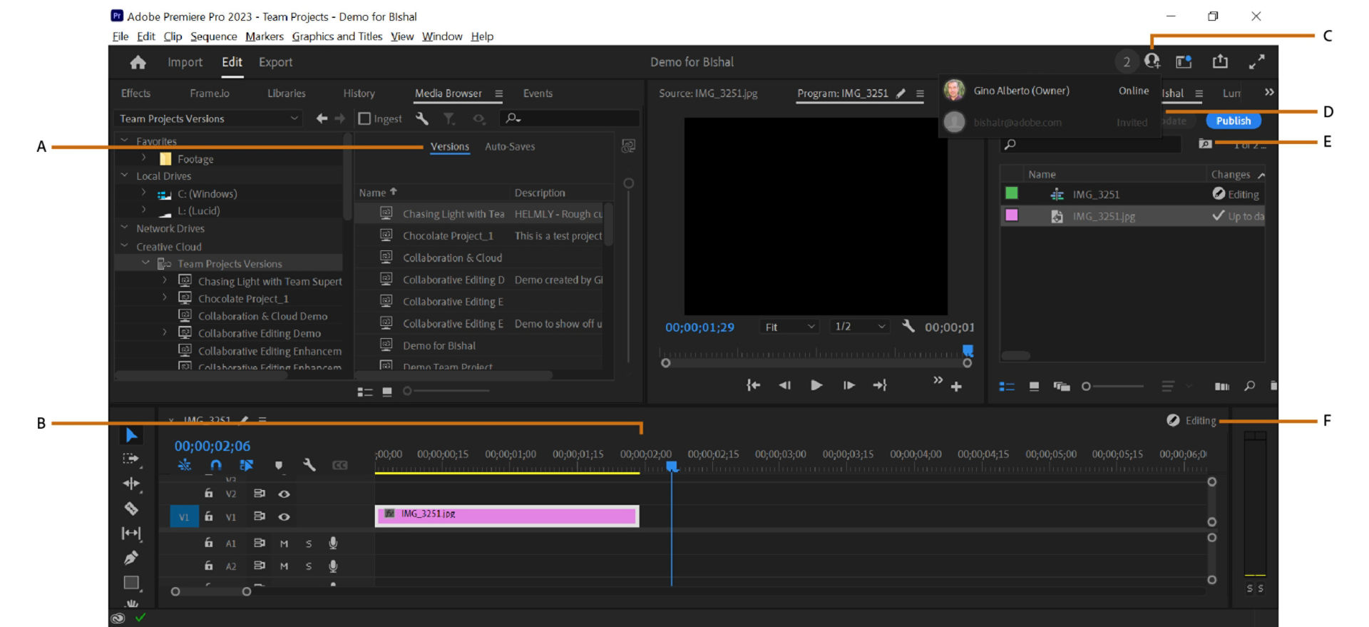 A typical view of the Team Projects window while collaborating in Premiere Pro. 