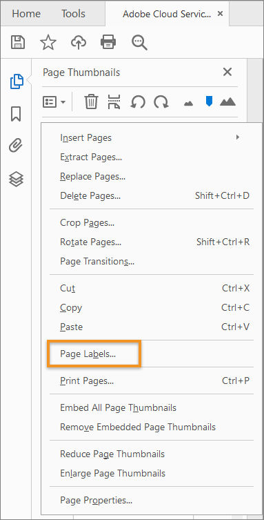 Choose Page Labels