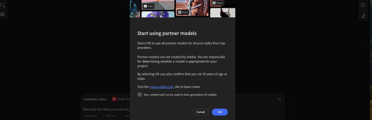 The Start using the partner models is open and you have the option to continue or cancel.