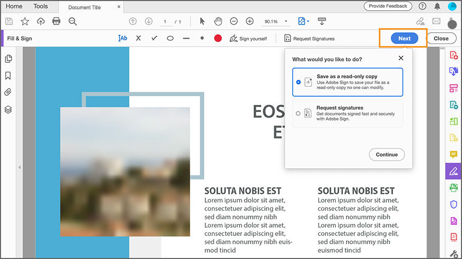 Screenshot of Save As A Read-Only Copy dialog box with a button with the word Next highlighted