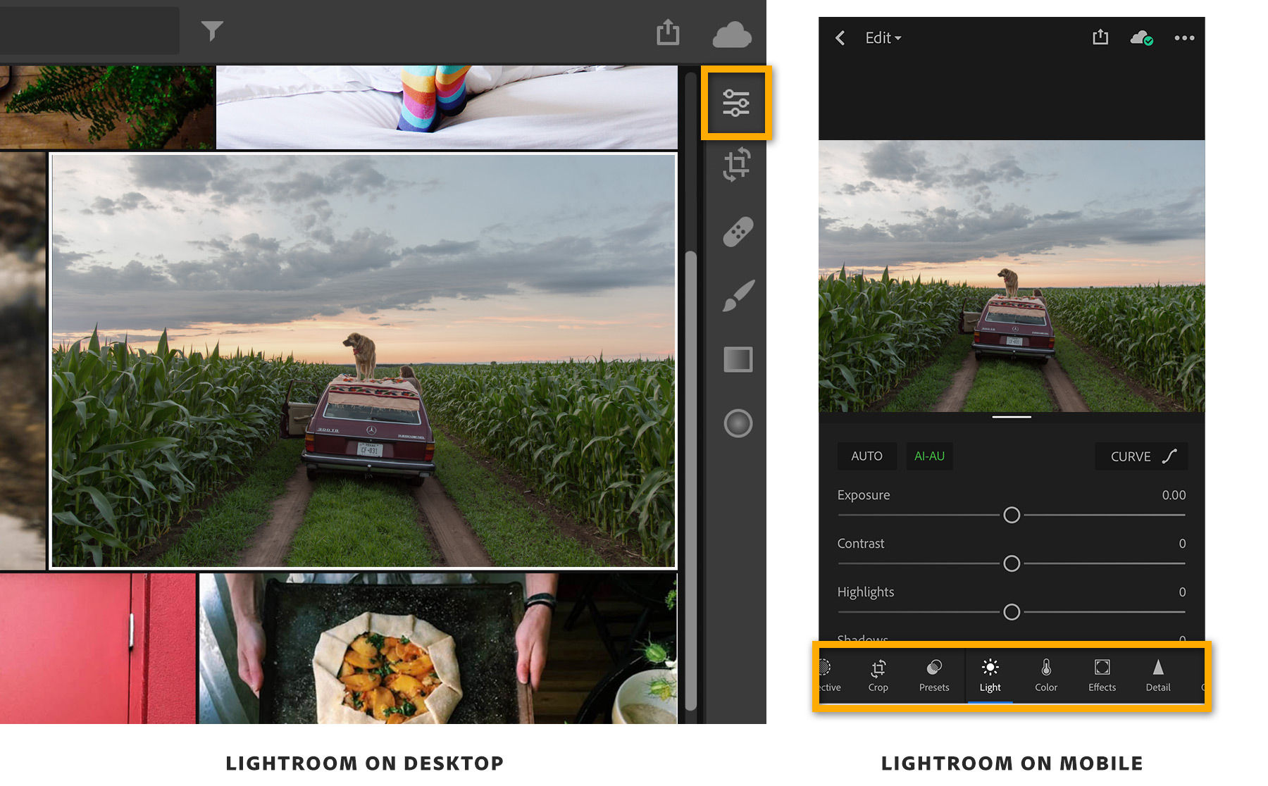 Lightroom tools are on the right side on the desktop version, or the bottom on the mobile version.