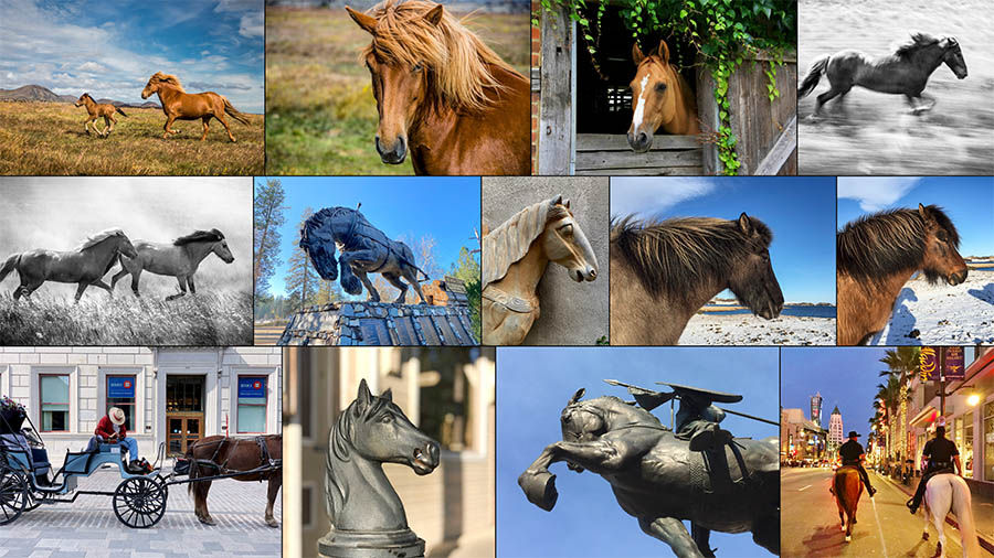 A multiple photo grid with images of horses and horse statues