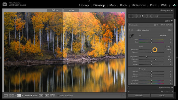 Adjust lighting in a landscape image using the Exposure slider in the Basic tab of the Develop module.
