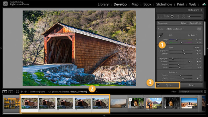 In the Lightroom Classic Develop module, several photo thumbnails are selected to synchronize the develop settings with the Sync button. 