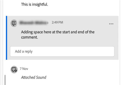 Comment box with a comment posted which had spaces before posting