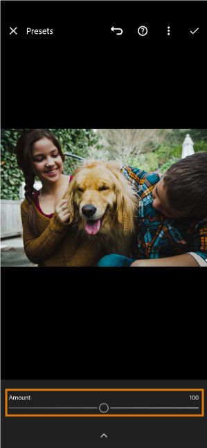 preset-amount-slider