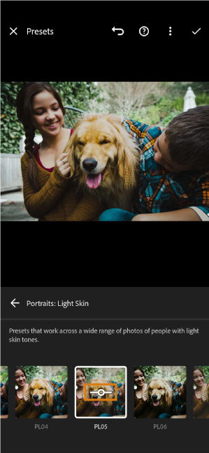 preset-amount-slider